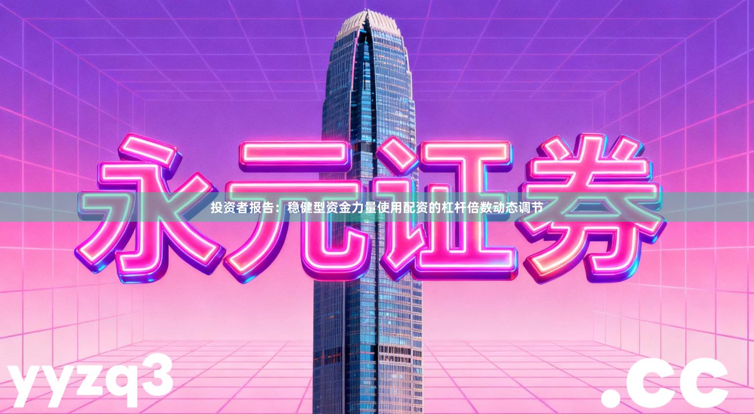 投资者报告：稳健型资金力量使用配资的杠杆倍数动态调节
